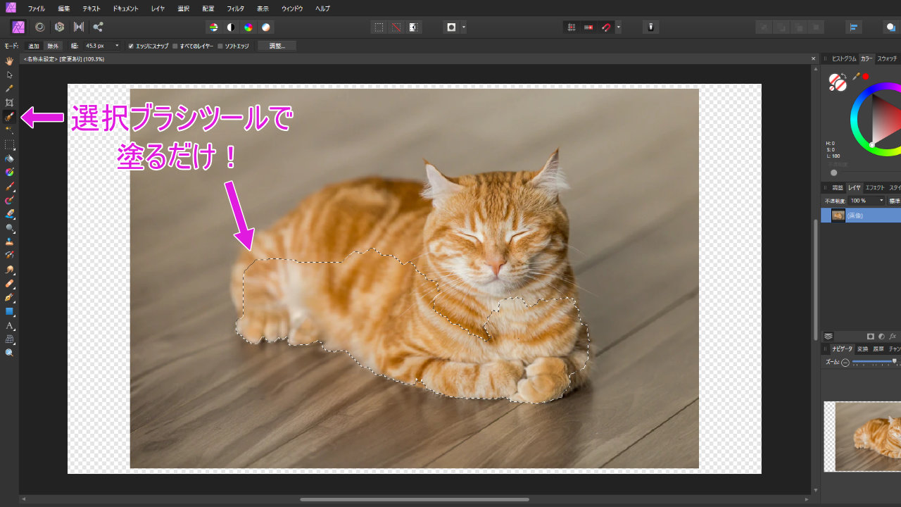 Affinity Photo】写真の切り抜き方【選択ブラシとマスクを使う３つの 